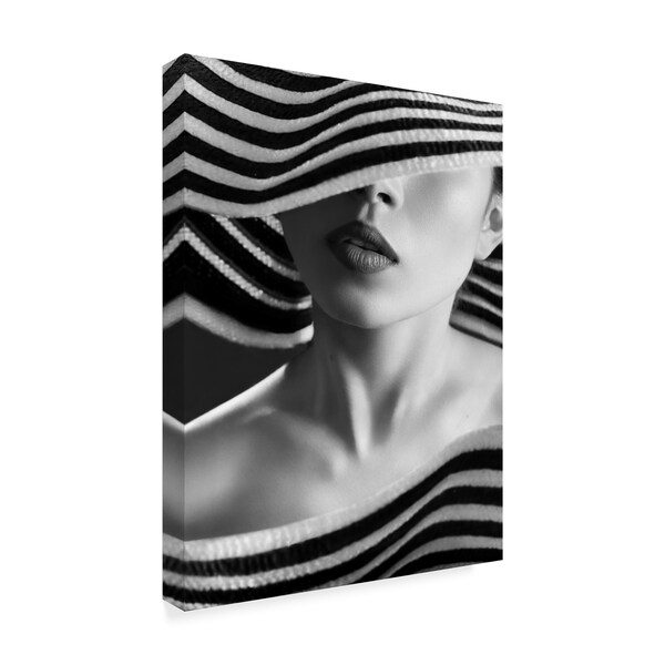 Boris Belokonov 'Zebra Fashion' Canvas Art,18x24